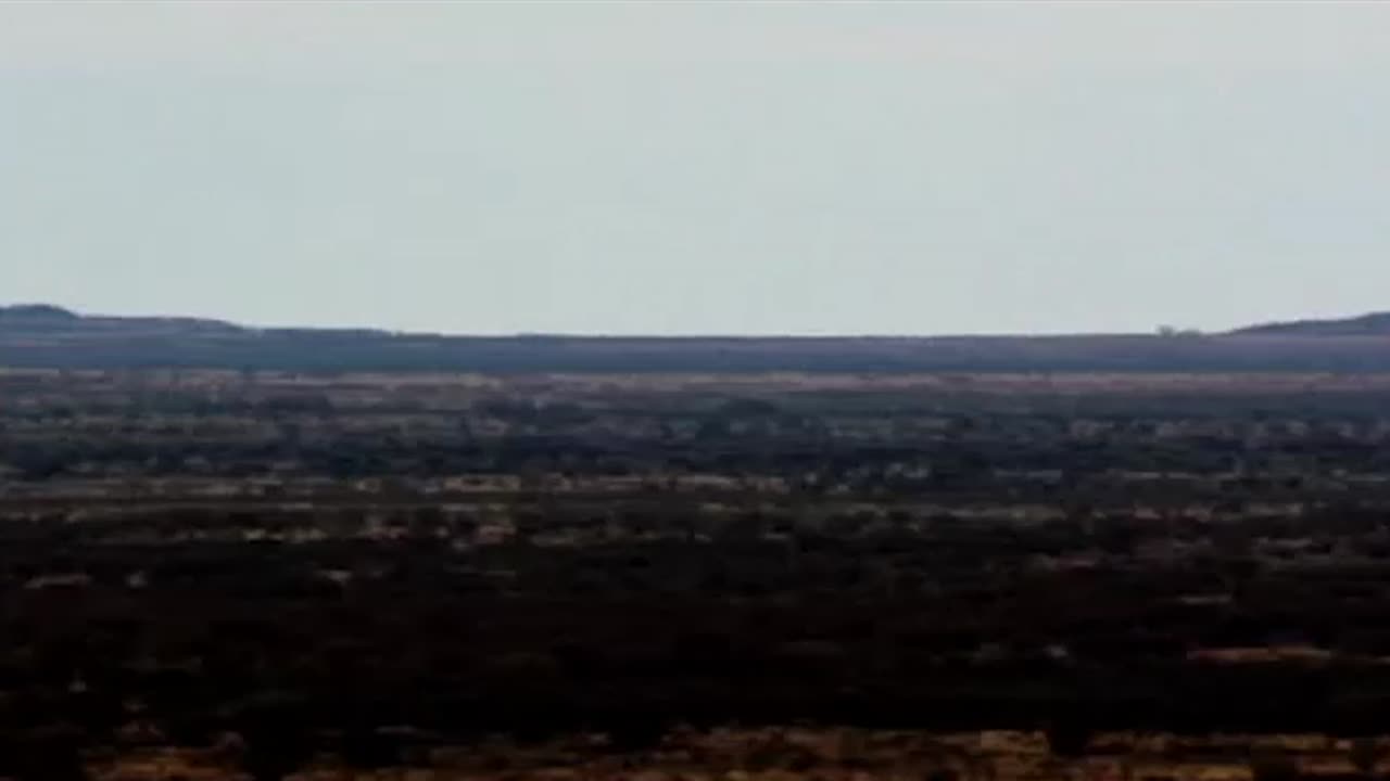 Sniffer Wiya Short Film