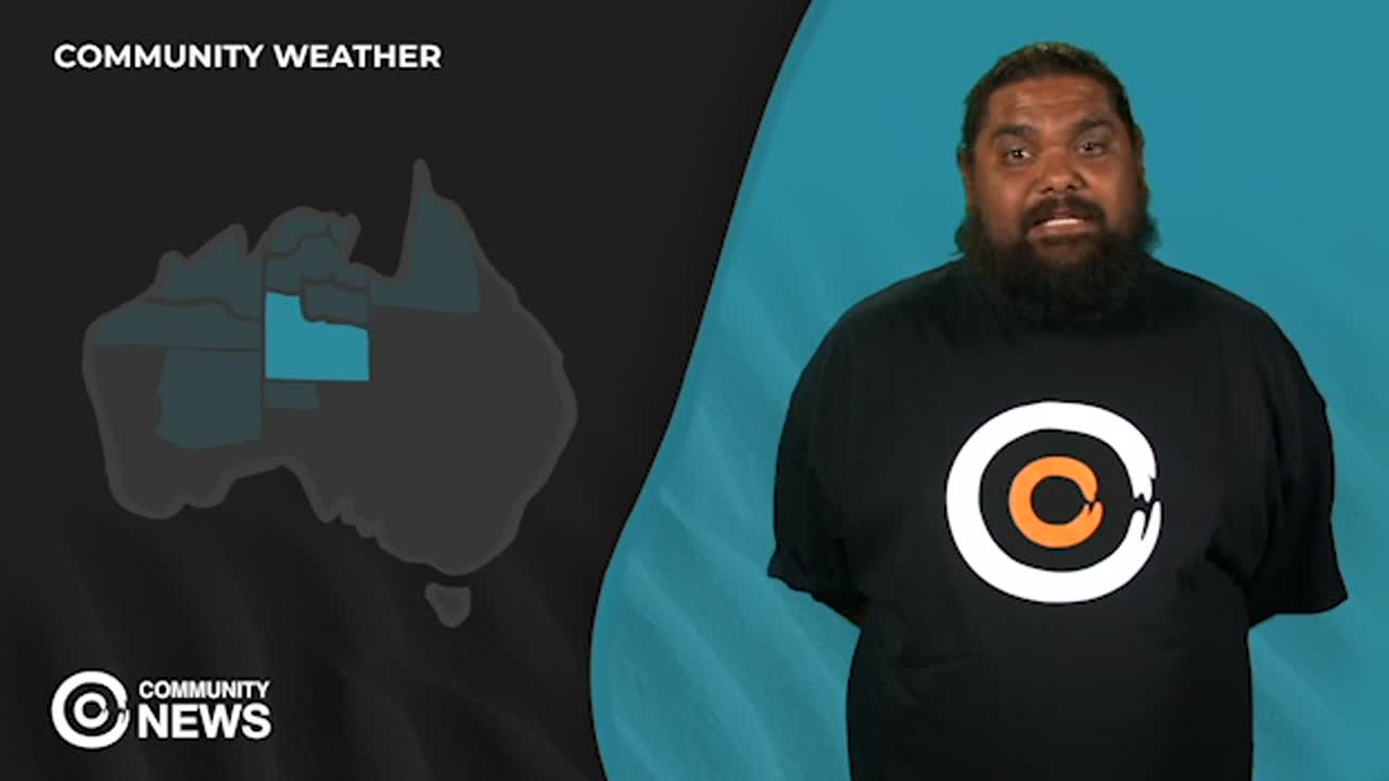 Community Weather Lilly from Ntaria teaches us about honey ants in